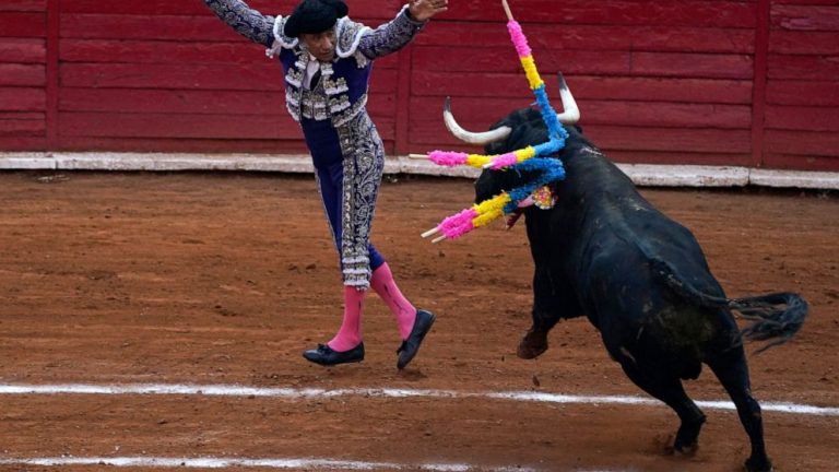 Mexico City ban on bullfighting extended indefintely