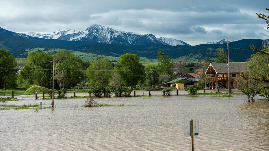 Flooding hits Yellowstone National Park in Montana