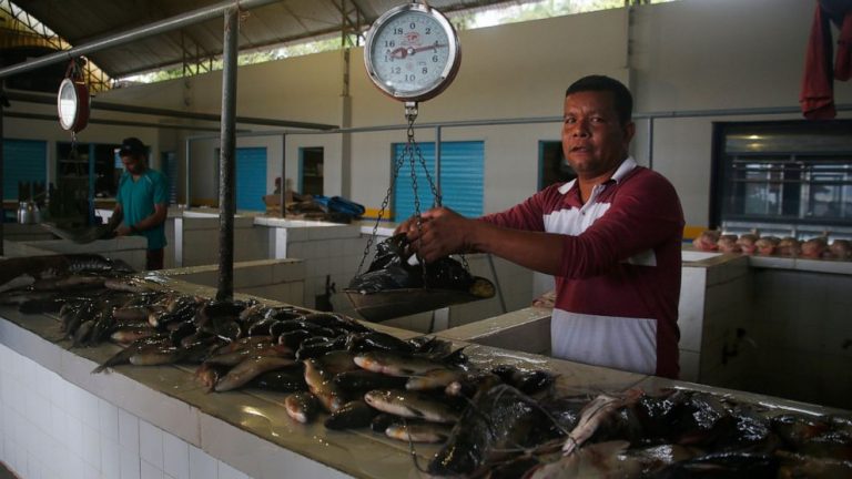 Pair’s disappearance in Brazil’s Amazon tied to ‘fish mafia’
