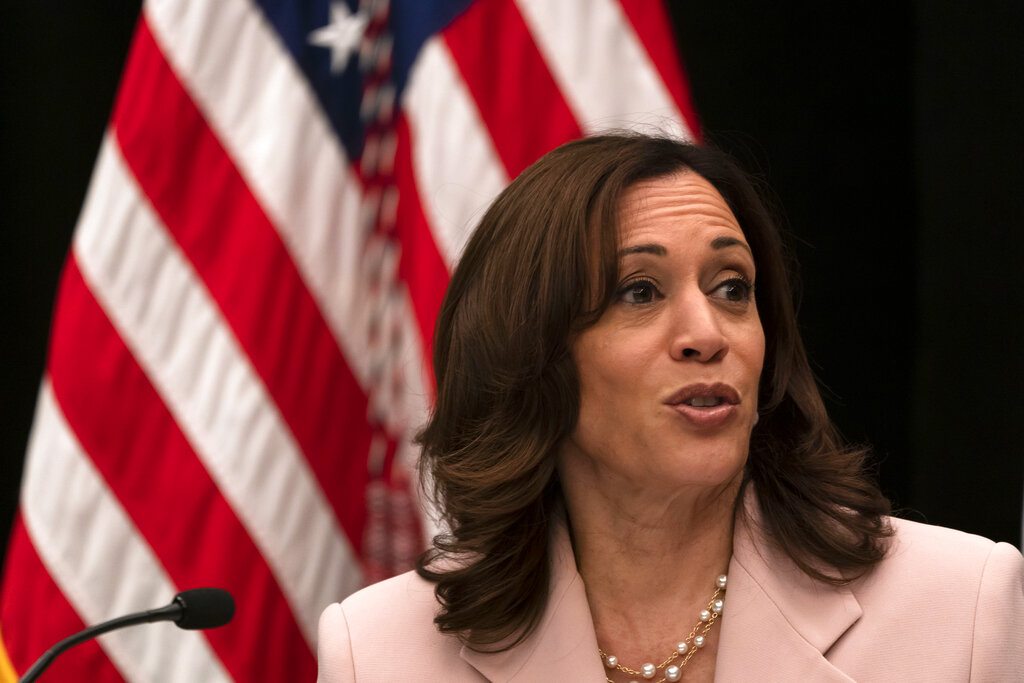Vice President Kamala Harris speaks at a roundtable discussion with business executives during the Summit of the Americas in Los Angeles, Tuesday, June 7, 2022. (AP Photo/Jae C. Hong)