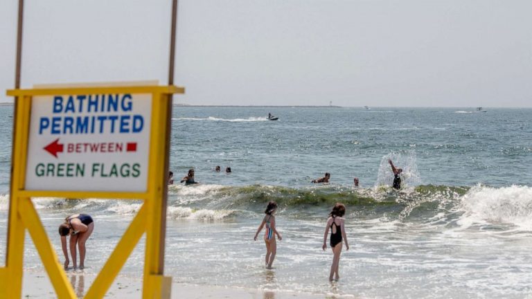 5th shark attack in 2 weeks leaves man injured