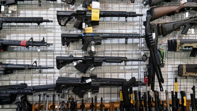 AR-15 style guns have brought in over $1 billion in 10 years