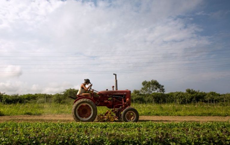 Dutch farmers protest govt. plans to reduce nitrogen emissions