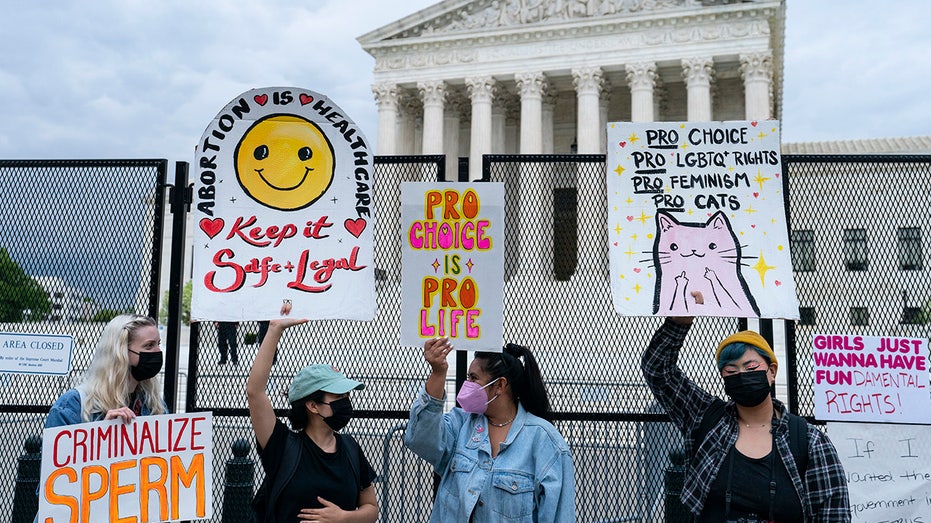 Protesters stand outside Supreme Court holding a variety of signs