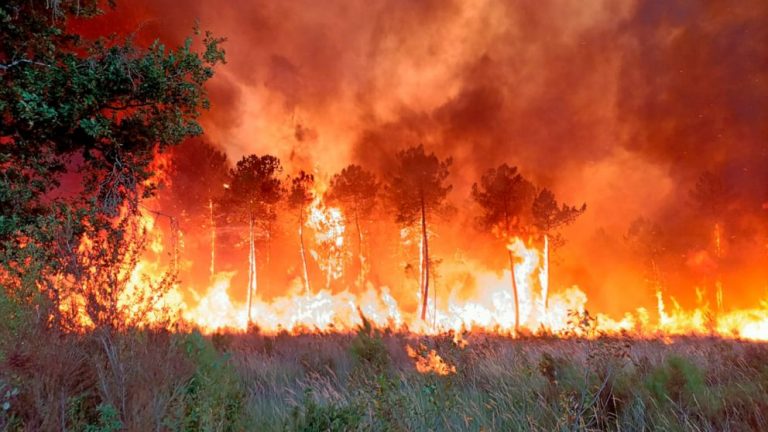 Fires ravage French forests near Atlantic as Europe heats up