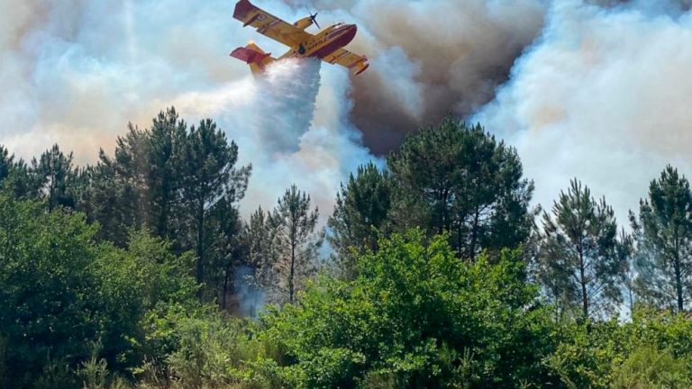 Fires scorch France, Spain; temperature-related deaths soar