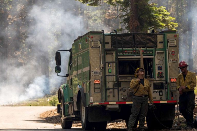 Growing wildfire poses latest threat to historic sequoia trees