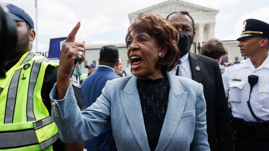 Rep. Maxine Waters (D-CA)