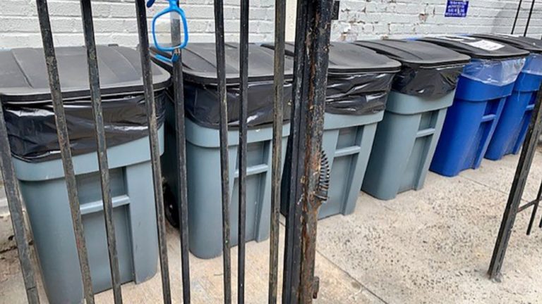 Rat concerns push city to reconsider trash pickup