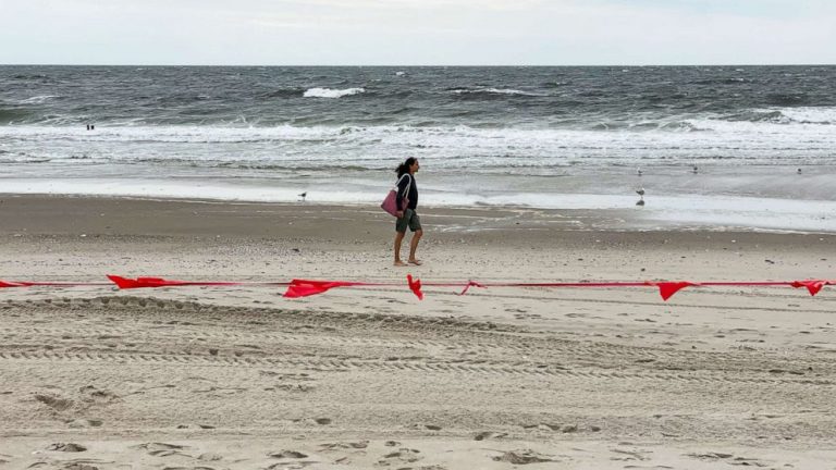 Shark sightings shut down swimming at famous beach