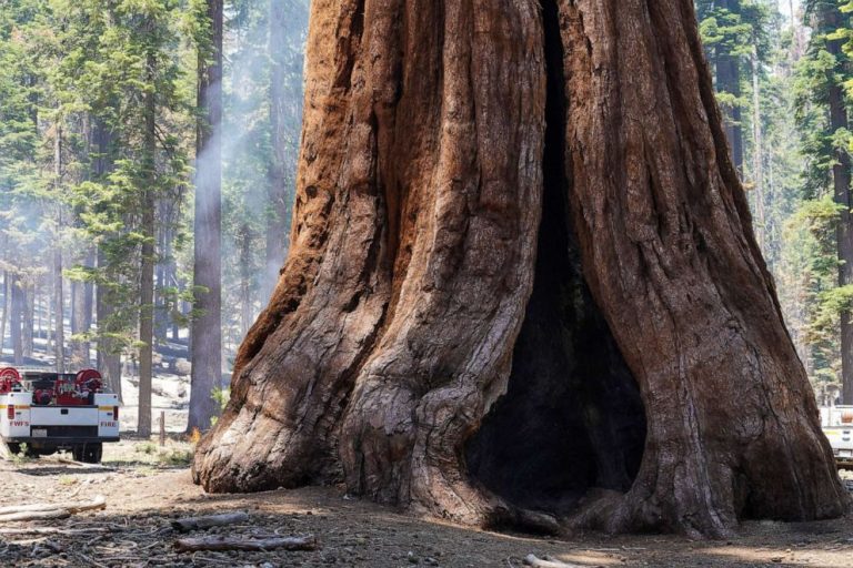 Southern entrance of Yosemite National Park to reopen as wildfire is contained