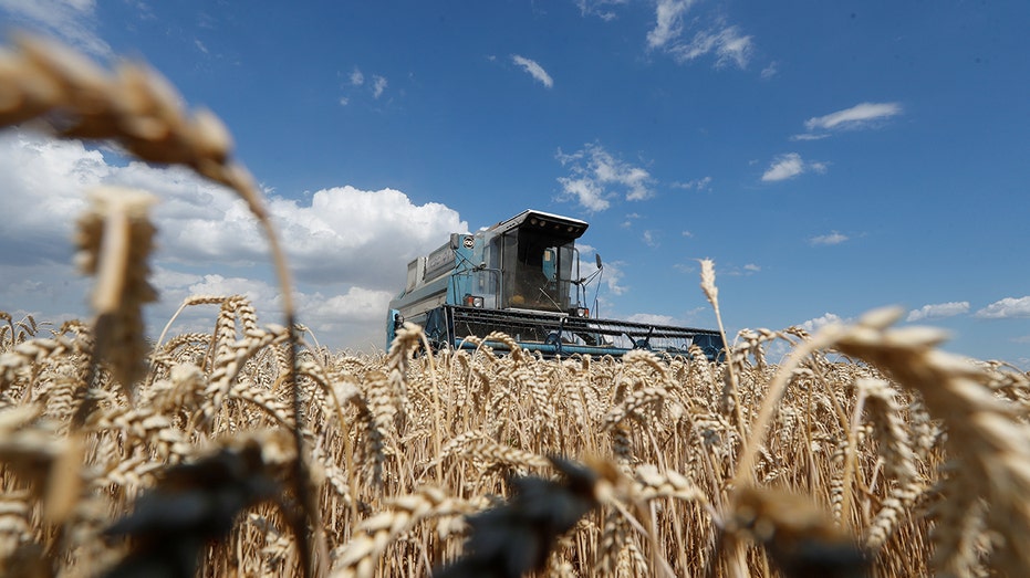 Ukraine, Russia, Wheat
