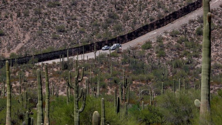 Border Patrol rescues baby, toddler left in Arizona desert