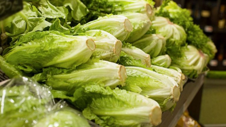 E. coli outbreak prompts Wendy’s to remove romaine lettuce used in sandwiches