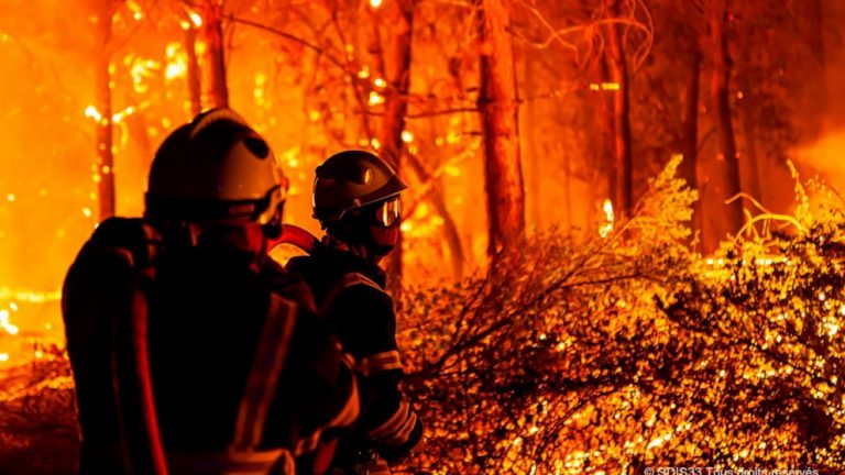 European firefighters join battle to stop French wildfires