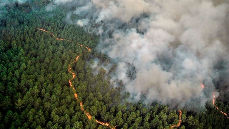 French wildfire stops expanding; workers seek to tame it