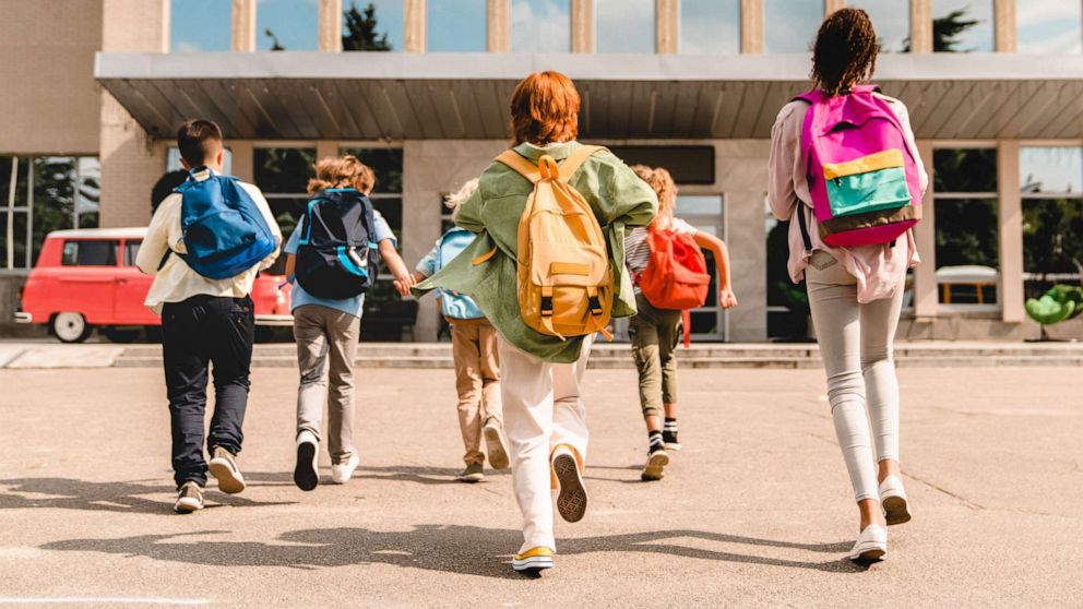 PHOTO: Students walking into a school in an undated stock photo.