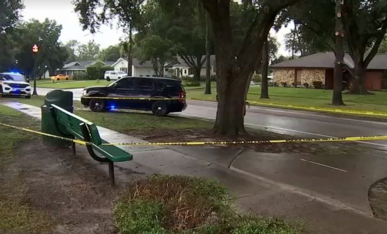 Lightning strike kills mom, injures child and dog