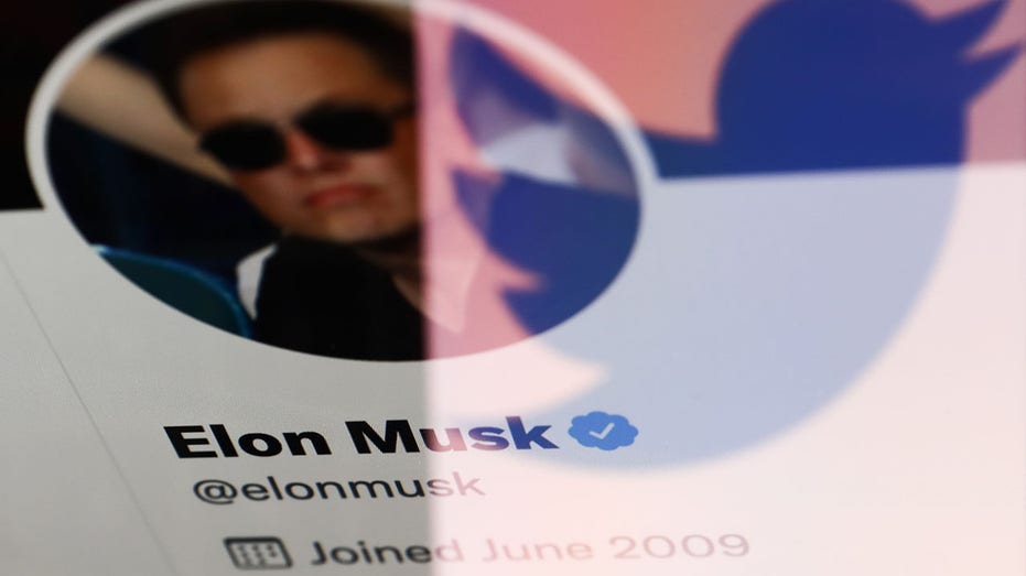 Elon Musk Twitter profile