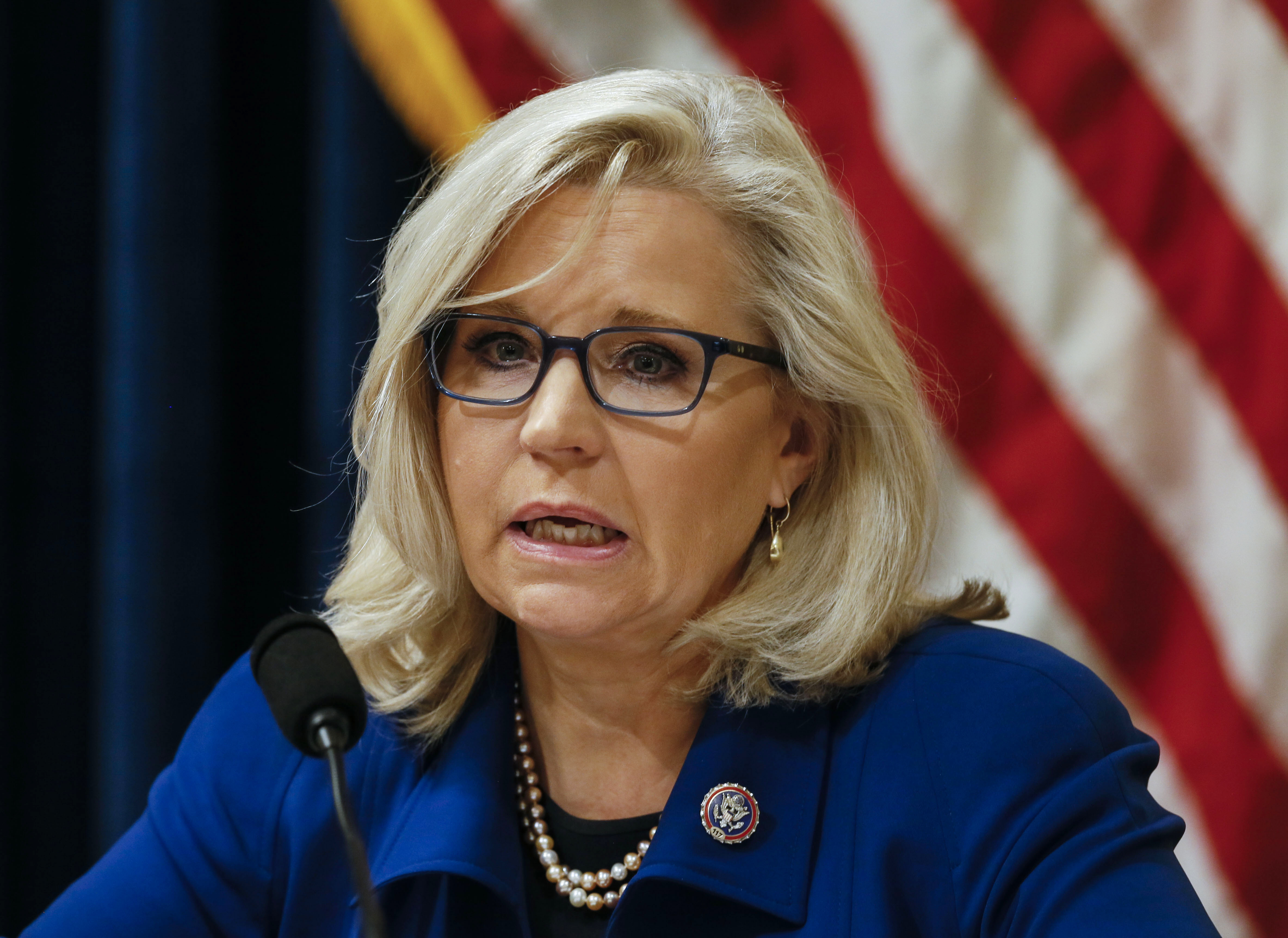 Rep. Liz Cheney (R-Wyo.) on the U.S. Capitol at the Cannon House Building in Washington, D.C. (Photo by Jim Bourg-Pool/Getty Images)