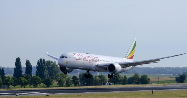 Report: Ethiopian Airlines pilots fell asleep during flight, missed landing