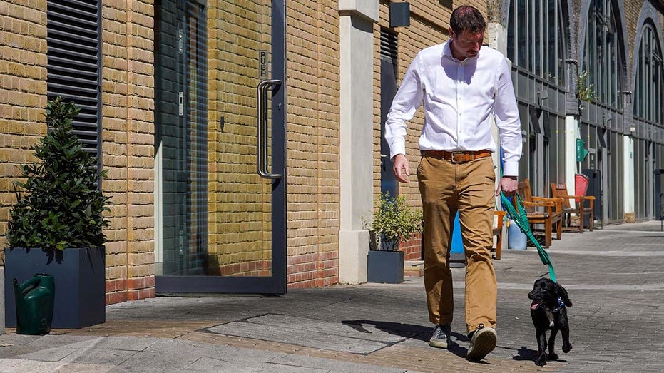 Steve Craddock walks cocker spaniel in London