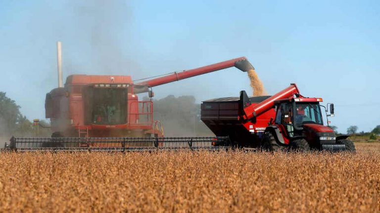 Argentina raises financing rates for soybean farmers who hoard stock