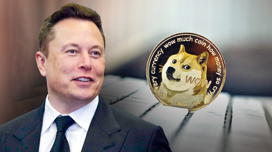 Elon Musk and a dogecoin