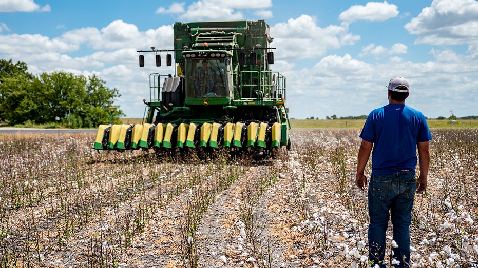 A Texas cotton farmer stands in front of a tractor