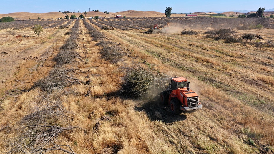 A tractor in a field impacted by drought