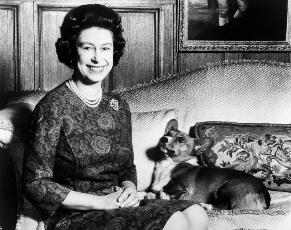 PHOTO: Queen Elizabeth II poses with her Corgis dog, Feb. 26 1970.