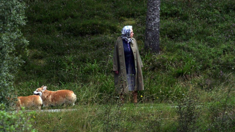 PHOTO: Queen Elizabeth II walks with her corgis after having had lunch at Balmoral Castle, Aug. 24, 2008.