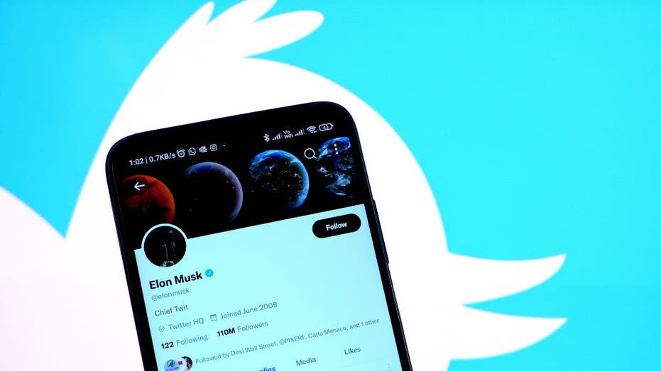 Elon Musk's Twitter profile on a smartphone