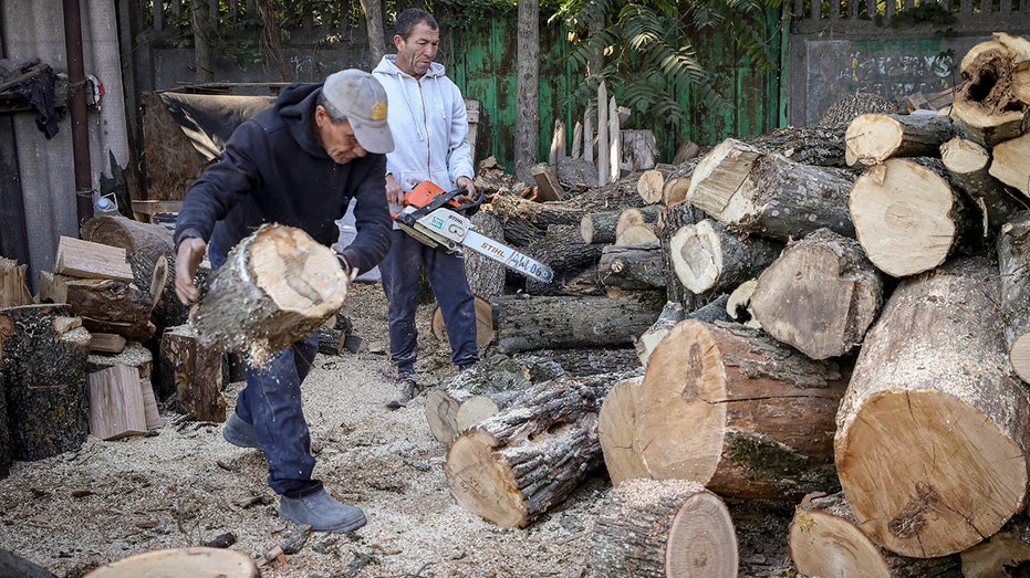 Men cutting logs with chainsaw