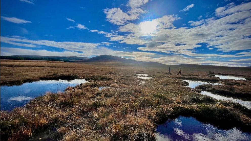 PHOTO: Since 80% of Scotland’s peatlands are degraded, craft beer company co-founder Martin Dickie explains BrewDog’s century-spanning plan for restoring peatland in the Lost Forest on Sunday, Oct. 23, 2022.