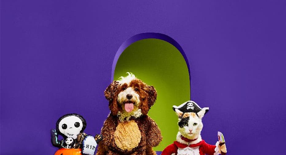 Petco's 2022 Halloween collection