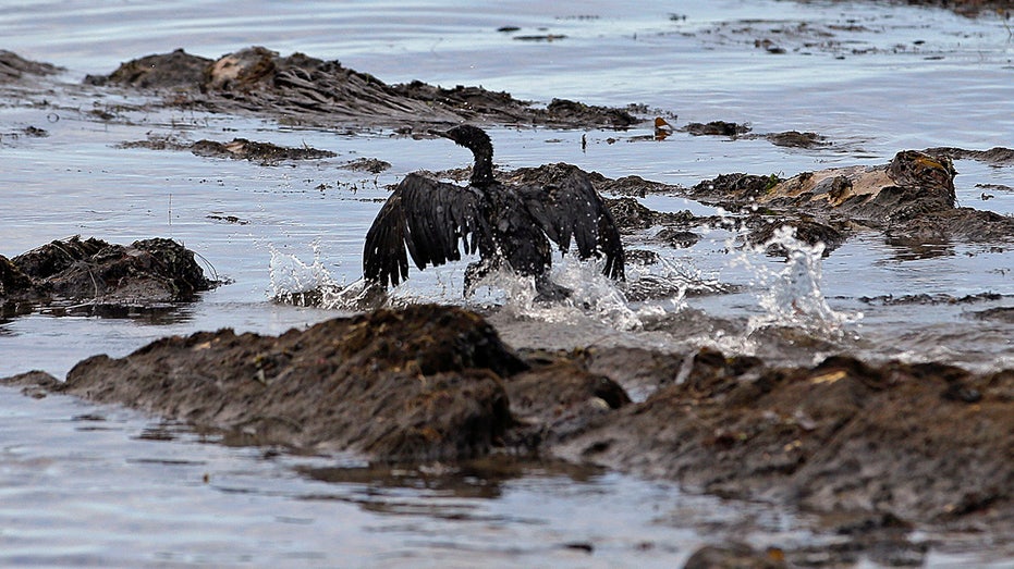 Oil spill California