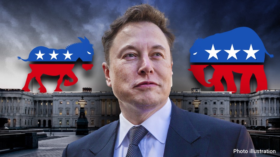 Elon Musk elections