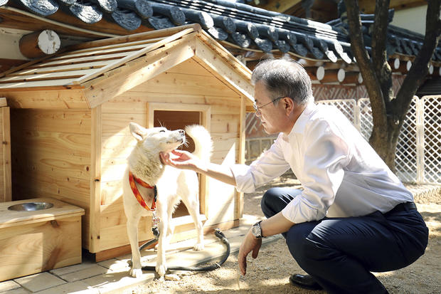 South Korea ex-leader looks to rehome dogs given to him by Kim Jong Un