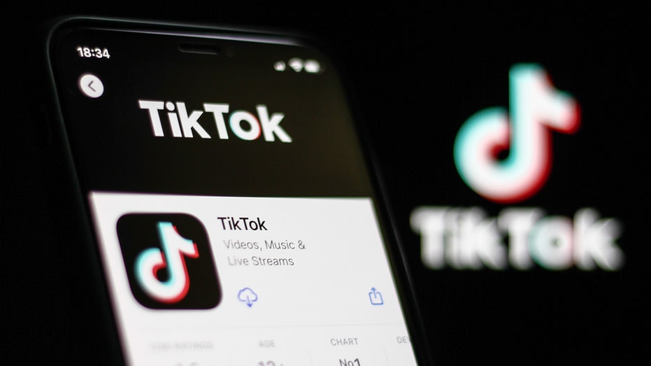 TikTok in app store