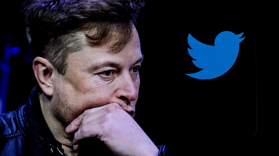 Elon Musk with the Twitter logo