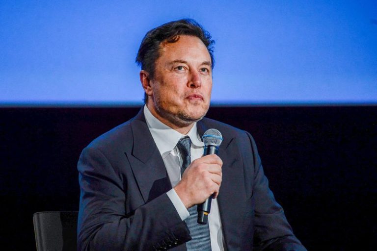 Elon Musk hints at two future Teslas, higher production efficiency