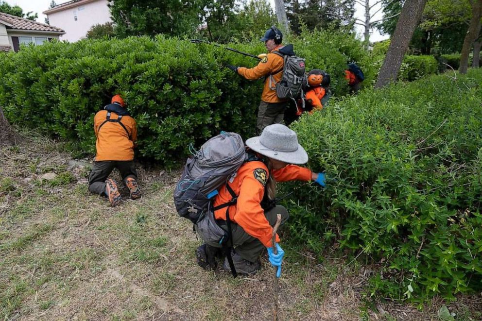 PHOTO: Volunteers from the Yolo County Search and Rescue Team look for evidence from the stabbing murder of Karim Abou Najm near Sycamore Park in Davis, Calif., May 1, 2023.