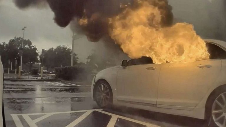 2 children rescued from vehicle on fire as woman shoplifts: Police