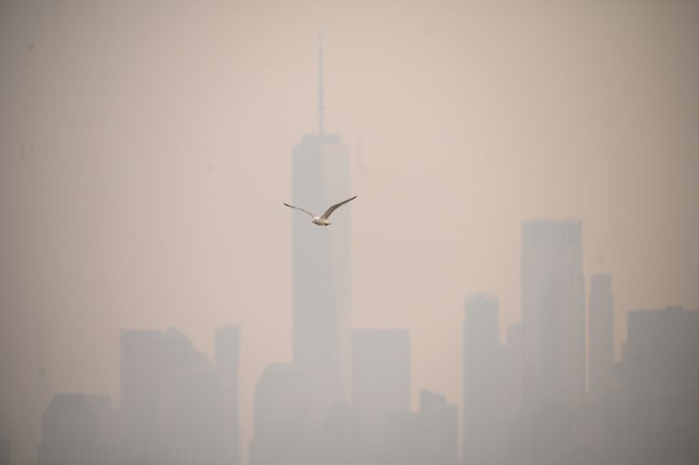 FAA halts some flights bound for New York’s LaGuardia Airport amid smoke from Canadian wildfires