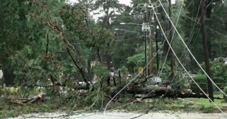 Tornadoes cause damage in Alabama, Georgia