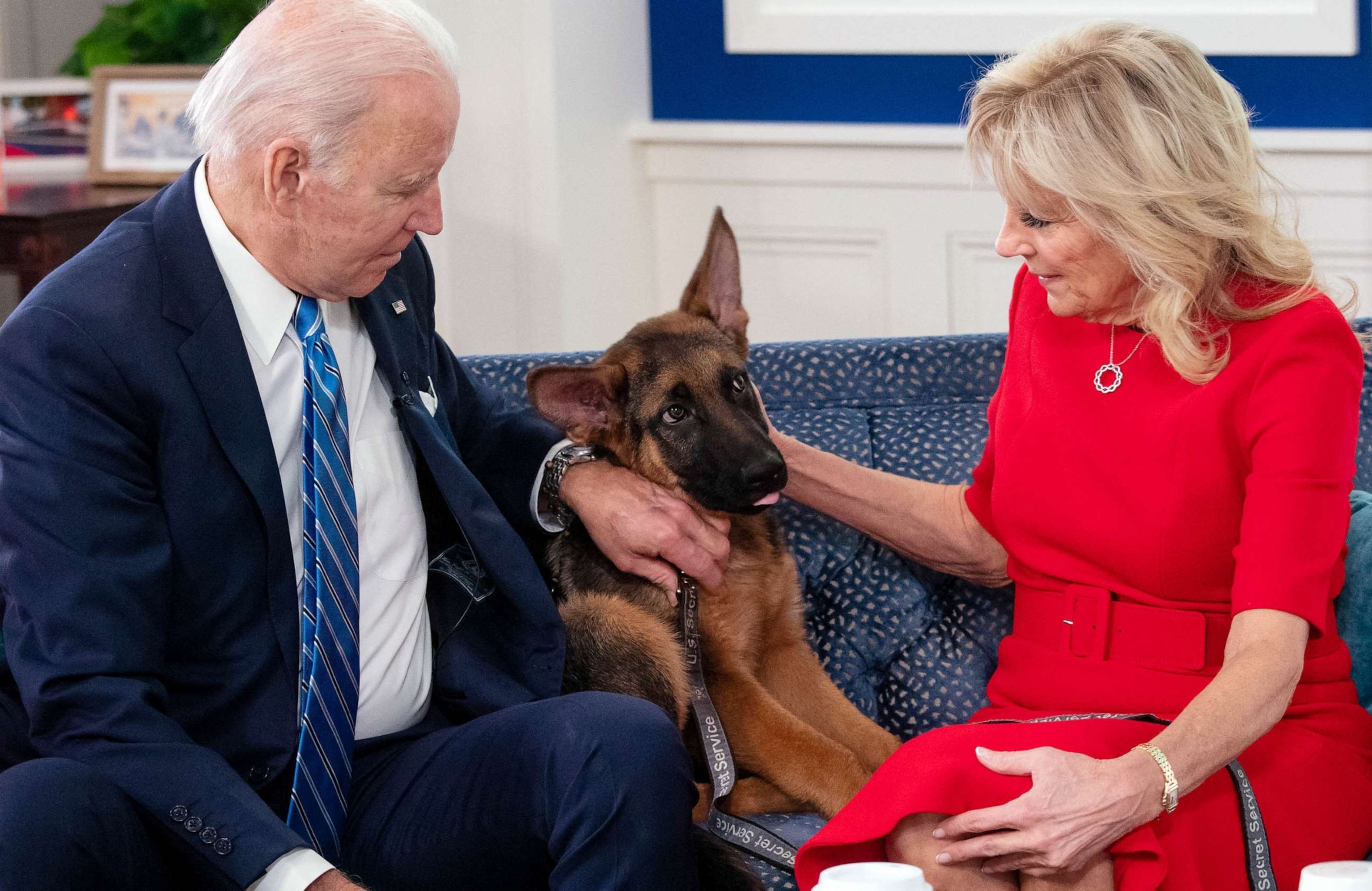 PHOTO: FILE - President Joe Biden and First Lady Jill Biden look at their new dog Commander at the White House in Washington, DC, Dec. 25, 2021.