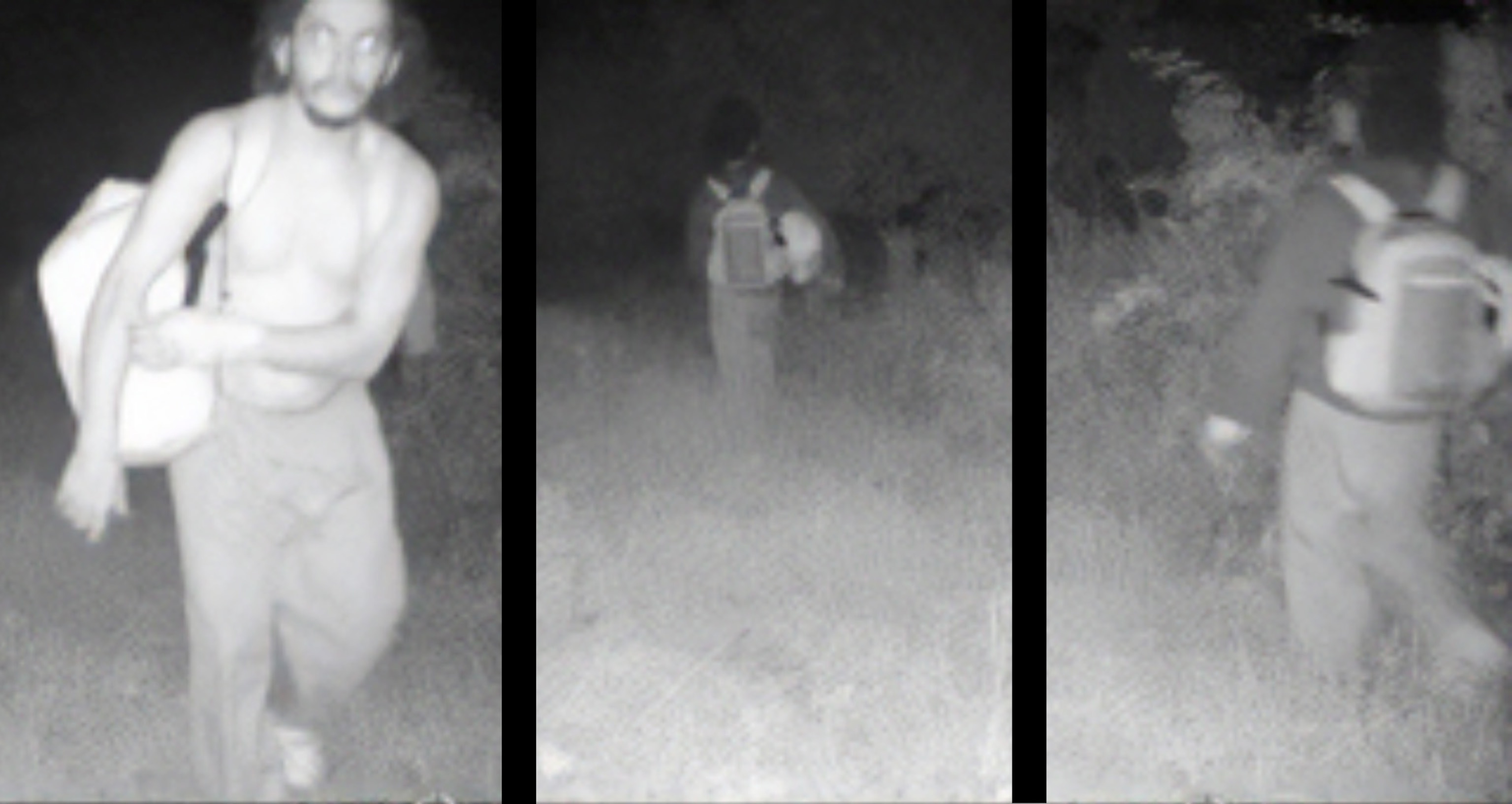 PHOTO: Escapee Danelo Cavalcante is seen in trail-cam video on the property of Longwood Gardens, Sept. 4, 2023, in Pennsylvania.