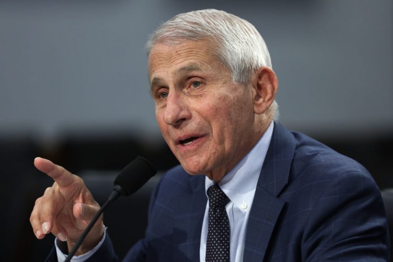 WASHINGTON, DC - MAY 11: Director of National Institute of Allergy and Infectious Diseases Anthony Fauci testifies during a hearing before the Labor, Health and Human Services, Education, and Related Agencies of House Appropriations Committee at Rayburn House Office Building on Capitol Hill May 11, 2022 in Washington, DC. The subcommittee held a hearing to examine the FY 2023 budget request for the National Institutes of Health. (Photo by Alex Wong/Getty Images)