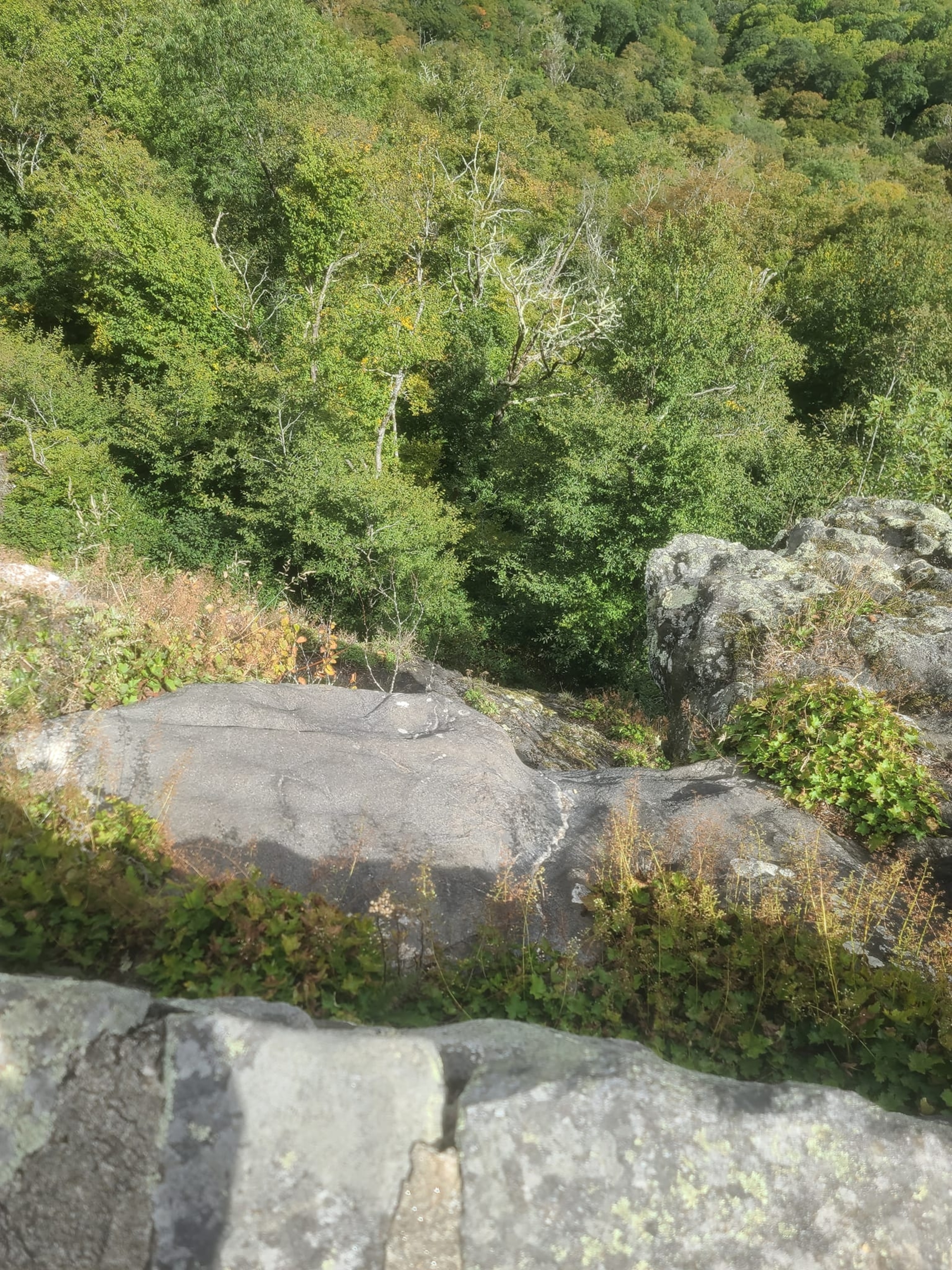 PHOTO: Reems Creek Firefighters respond to a fatal fall from a cliff on the Blue Ridge Parkway on Sept. 23, 2023.